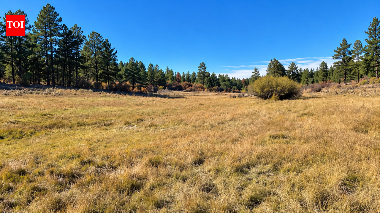 Colorado family protects 684-acre ranch after 90 years; old cabin was ranger post