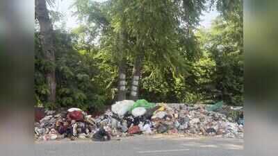 62 dismissed, but Haryana sanitation workers extend strike