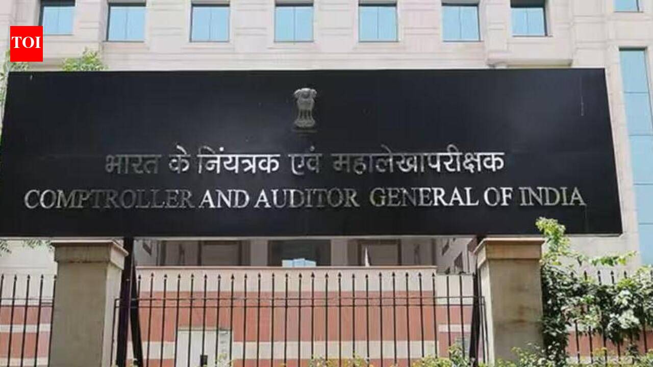 Shortfalls, missing data mar green mission in Punjab, Haryana & Himachal: CAG