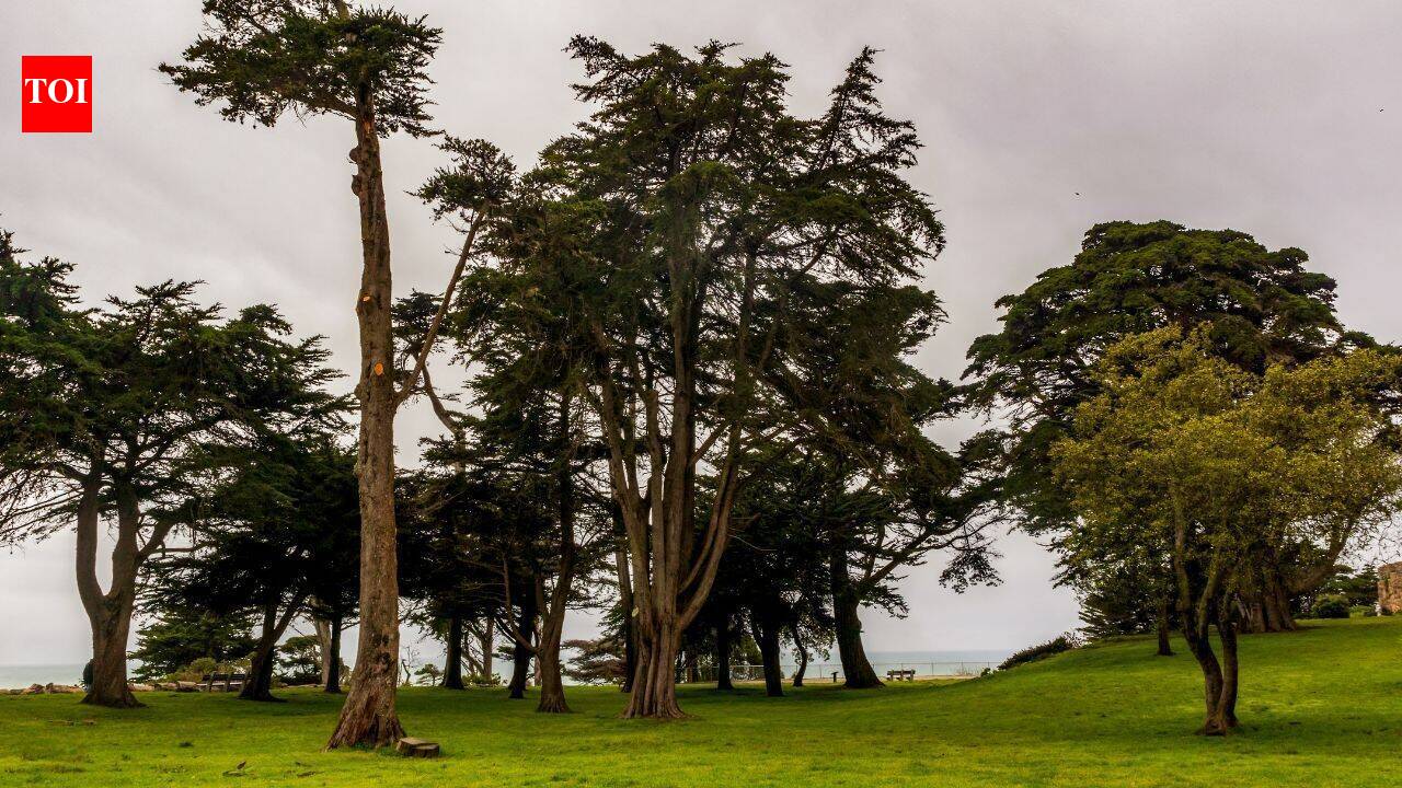 Adolph Sutro’s 22-acre San Francisco estate became a public park