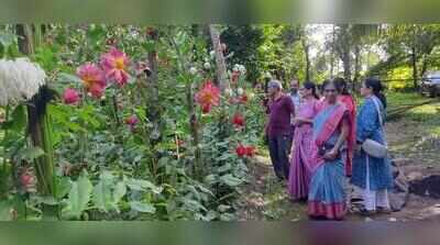 Women growers unite to put Malnad dahlias on the map