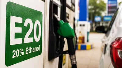 Beyond E20? Only flex-fuel vehicles may have the option, indicates adviser