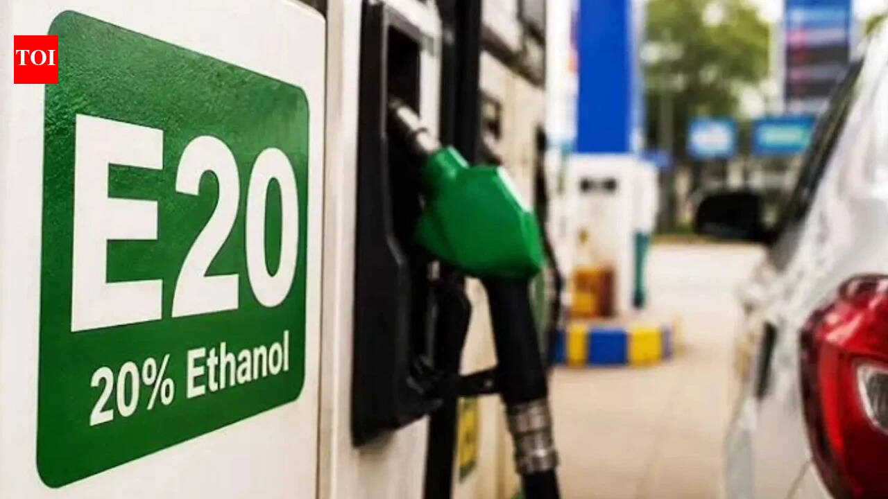 Beyond E20? Only flex, fuel vehicles may have the option, indicates adviser
