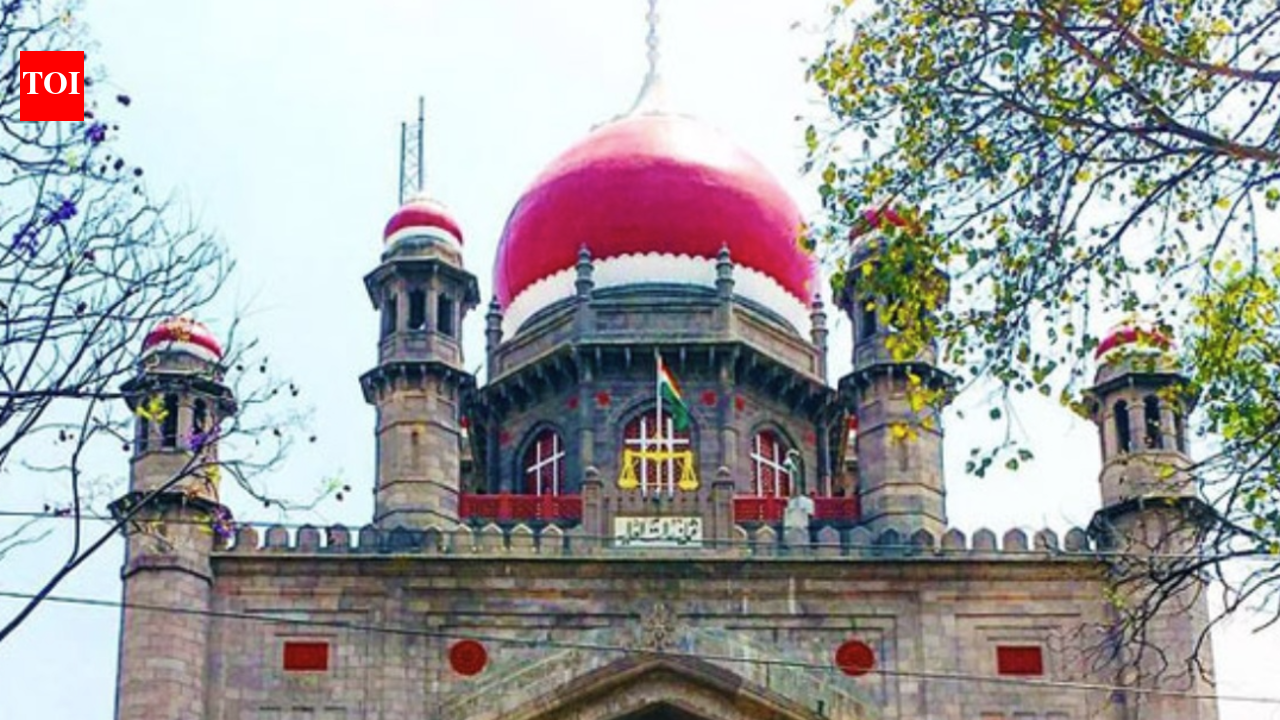 Telangana high court seeks govt response on road safety