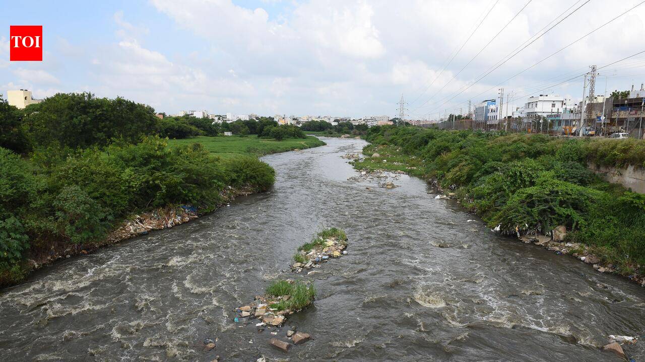 Repeated pollution breaches by STPs draining into Hussain Sagar, Musi, Telangana tells NGT