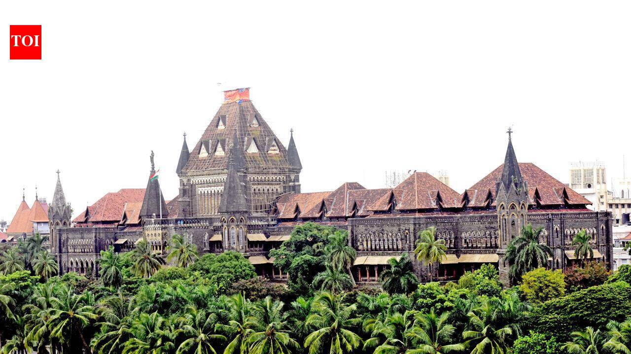 Bombay high court slams Palghar police efficiency: ‘Why 9 out of 10  accused in hospital staff assault absconding?’