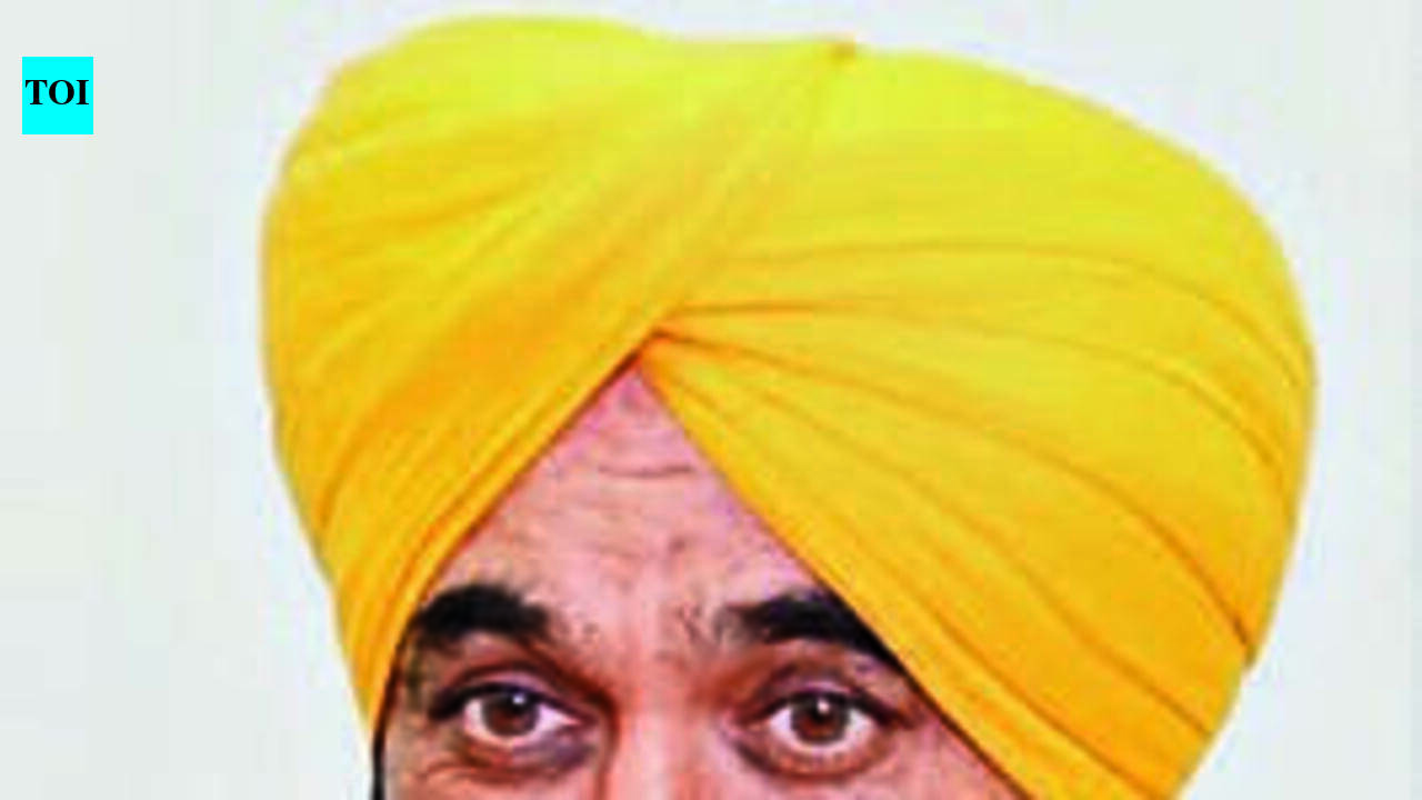 AAP inducts CM Mann and Harpal Cheema into PAC