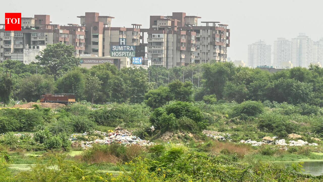 After dumpsite fires, Noida to set up green waste plant in Sector 80