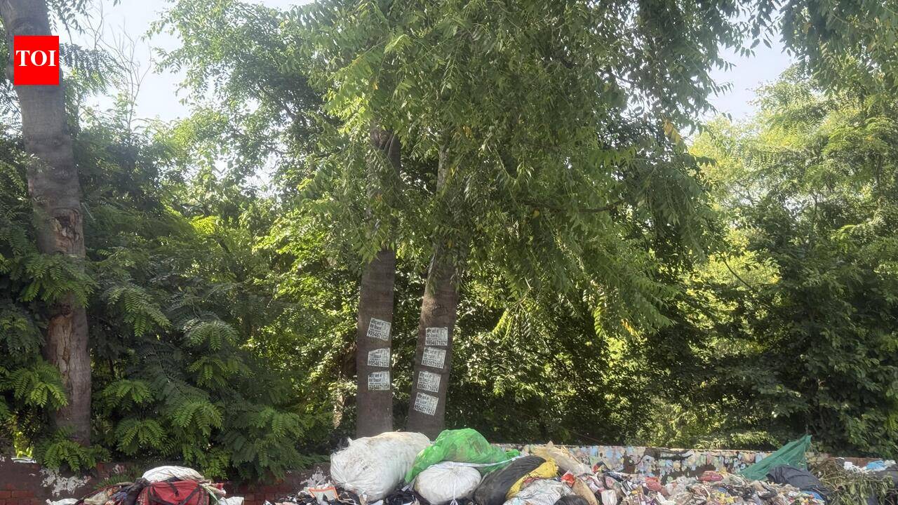 Sanitation strike enters 35th day, workers demand written govt assurances