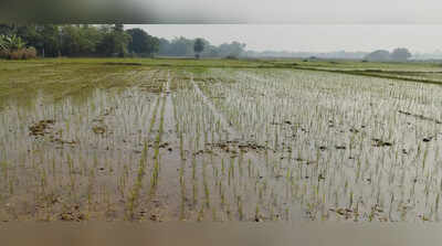 AIADMK's Palaniswami Accuses TVK Govt of Paddy Procurement Failure