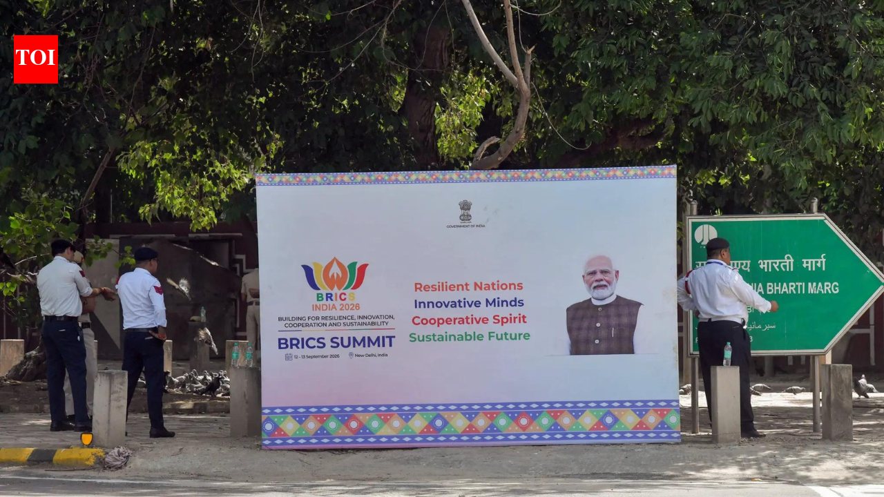Creating a multi-layered security grid in Delhi, one Brics at a time
