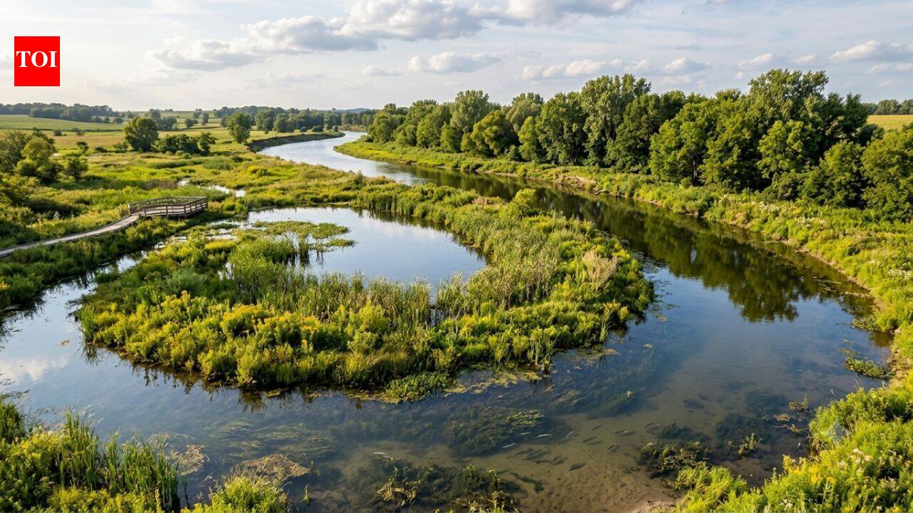 Since the early 2000s, Iowa has been restoring forgotten river bends. More than 200 oxbows are now bringing back an endangered fish and lost wetlands