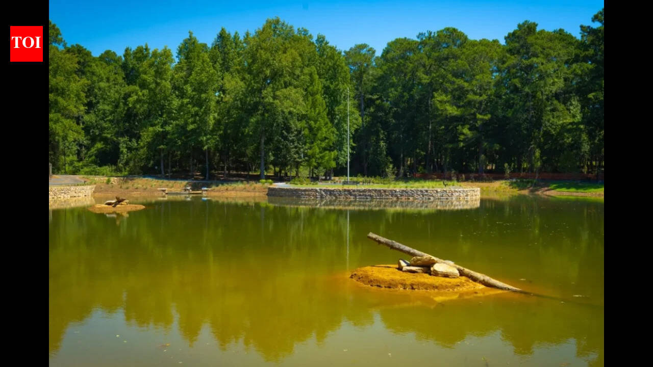 Georgia's 1950s farm pond gets $3.1 million makeover after decades of leaks and sediment