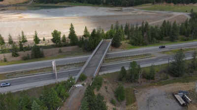 An Idaho bridge sat unused for 56 years after mining cut off its road; in 2025, it reopened for wildlife, where nearly 75 animals had been struck within two miles in a decade