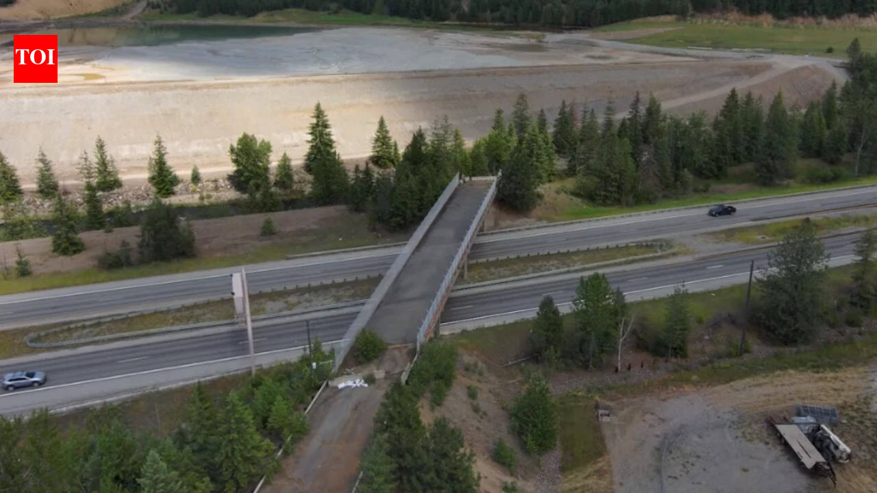 Abandoned Idaho bridge gets a second life as wildlife crossing