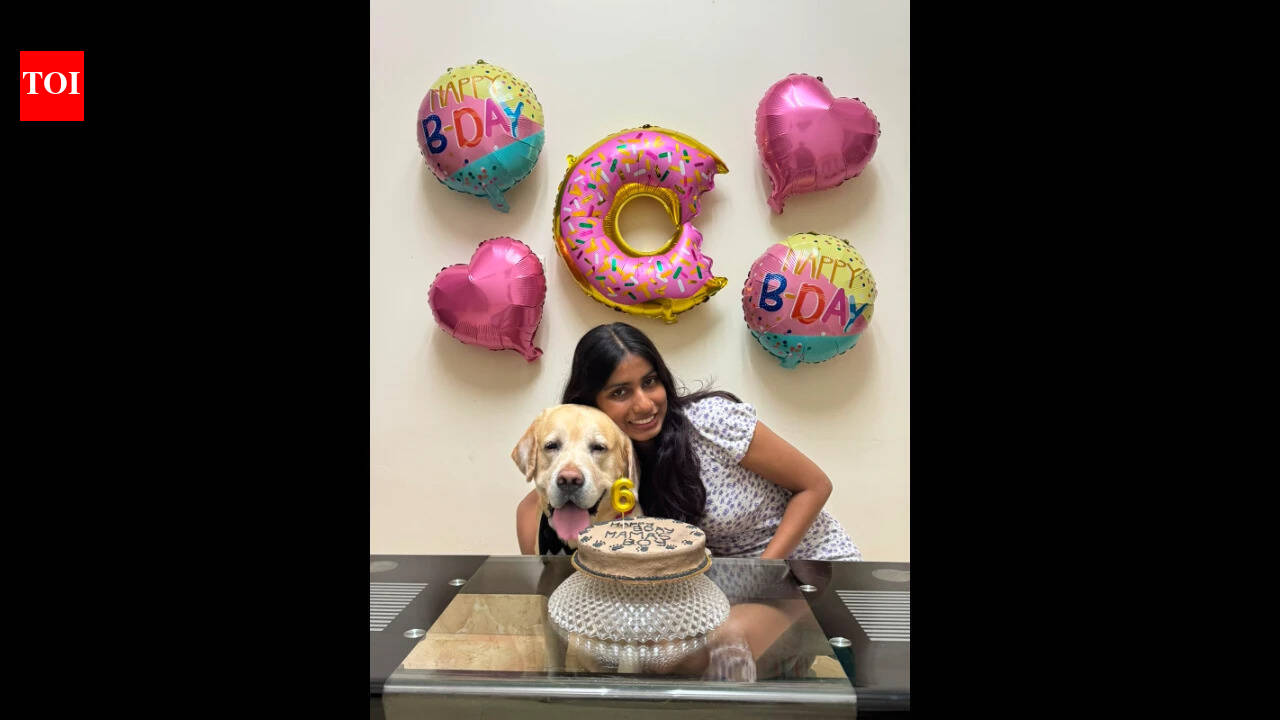 Goa pet dogs are having their birthday moment