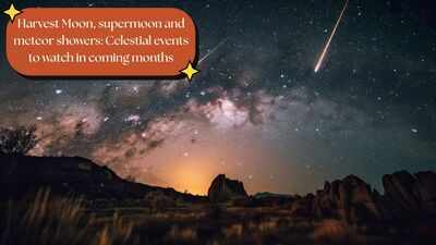 Harvest Moon, supermoon and meteor showers: Celestial events to watch ...