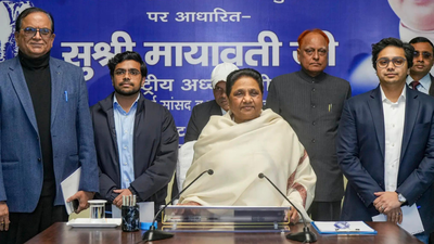 Mayawati's fifth-term UP bet: How Akash Anand's missed X repost sealed his fate in BSP