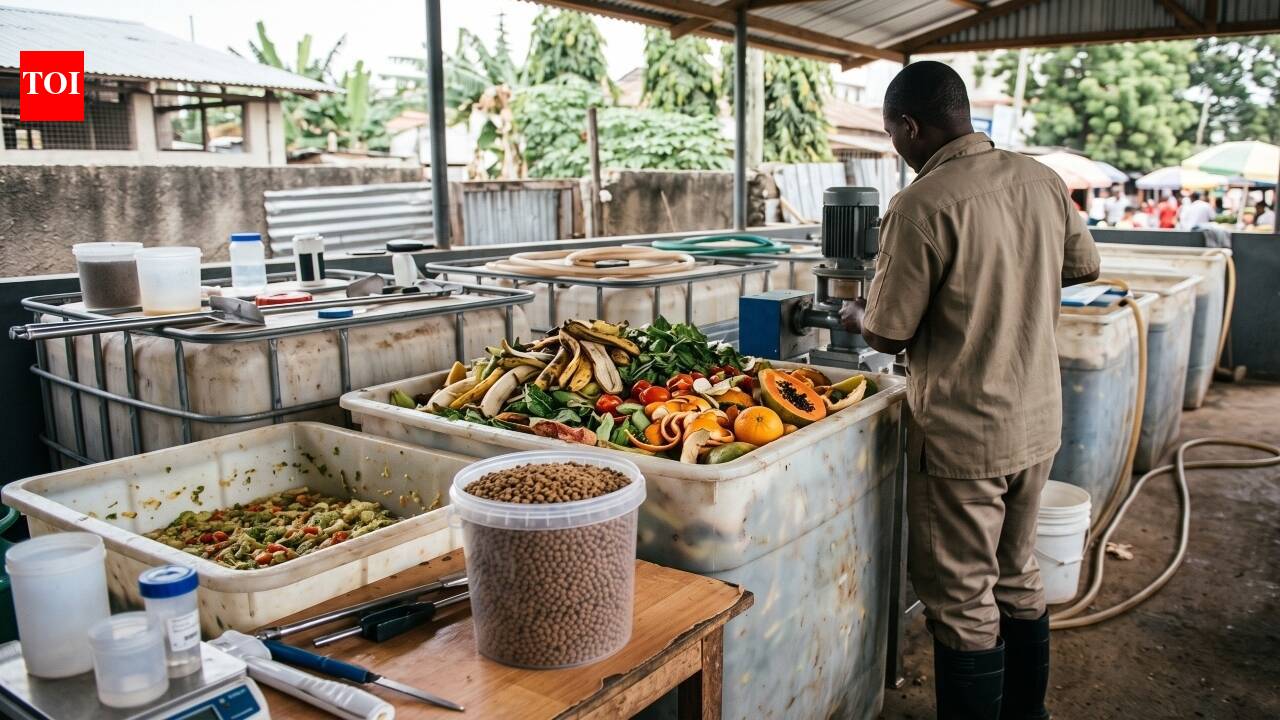 A Tanzanian biologist fed bacteria discarded fruit and vegetables to replace fishmeal; the resulting feed reportedly brought fish to market 40% sooner and raised farmers’ profits 25%