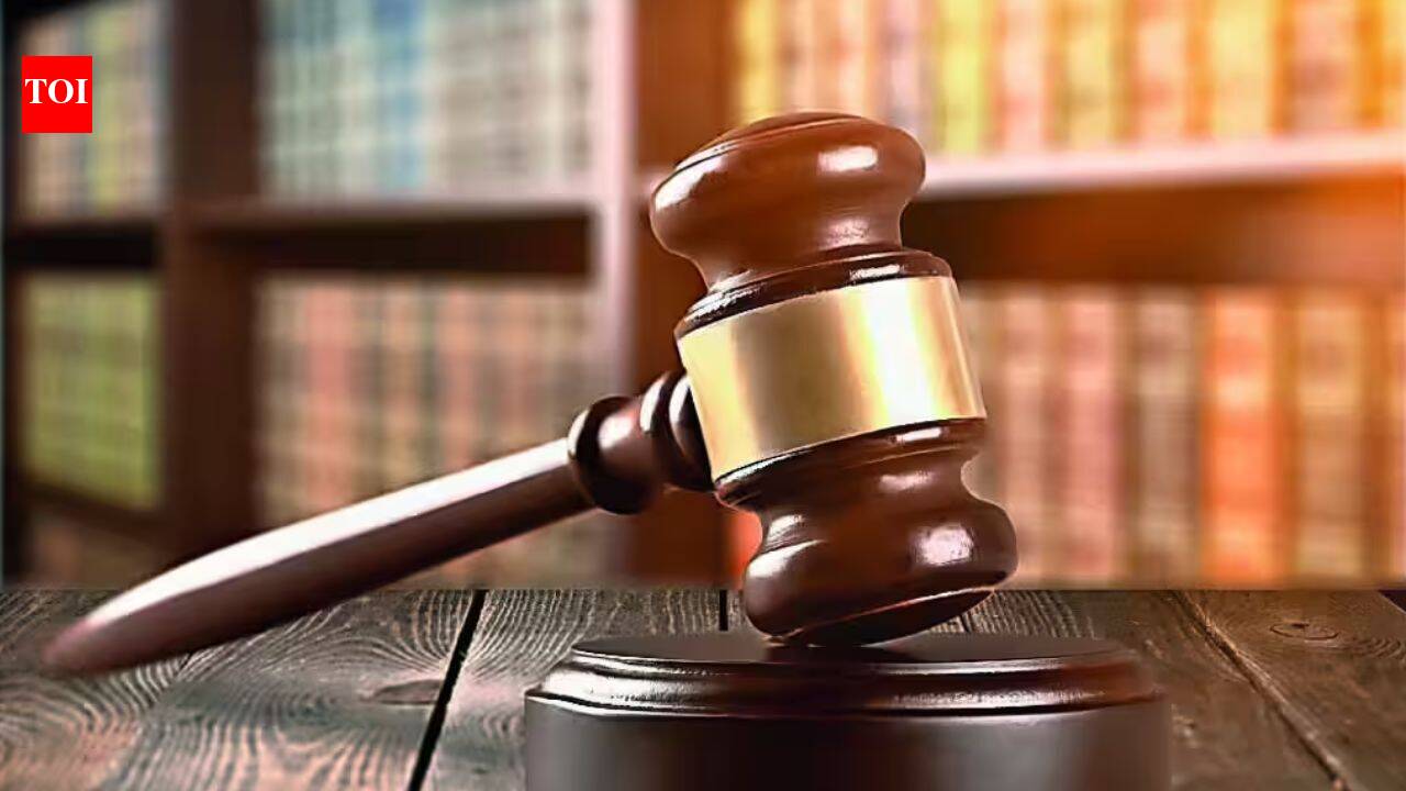 Gujarat man pleads guilty in US in $9.36 million illegal gambling case