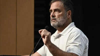 TN minister reiterates Rahul Gandhi for PM pitch; rules out Vijay as contender