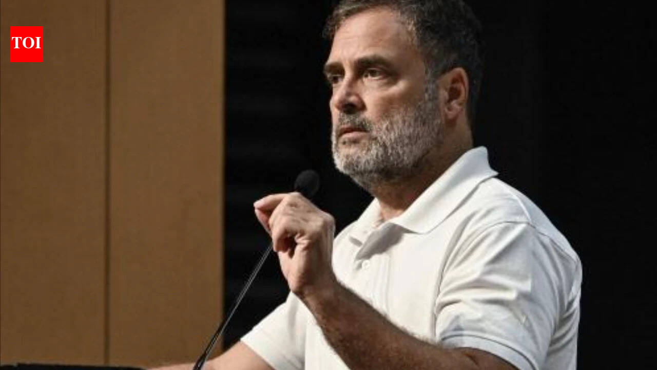 TN minister reiterates Rahul Gandhi for PM pitch; rules out Vijay as contender