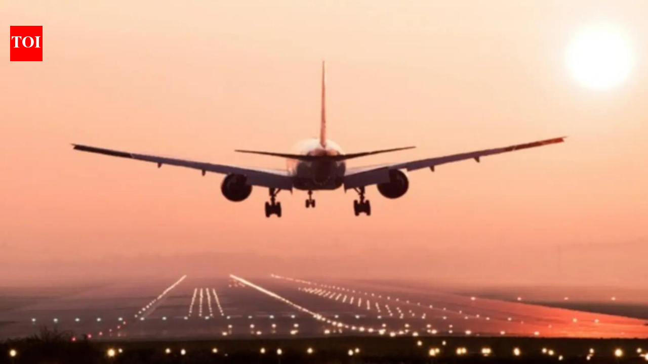 Brics Summit: DGCA disallows flying activities in 7 northern states this weekend