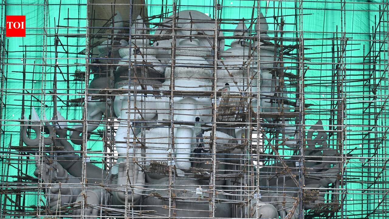 Clay Ganesha idols find more takers in Vijayawada, but price remains a hurdle