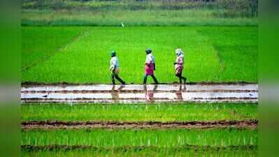 State turns to social media to promote sustainable farming