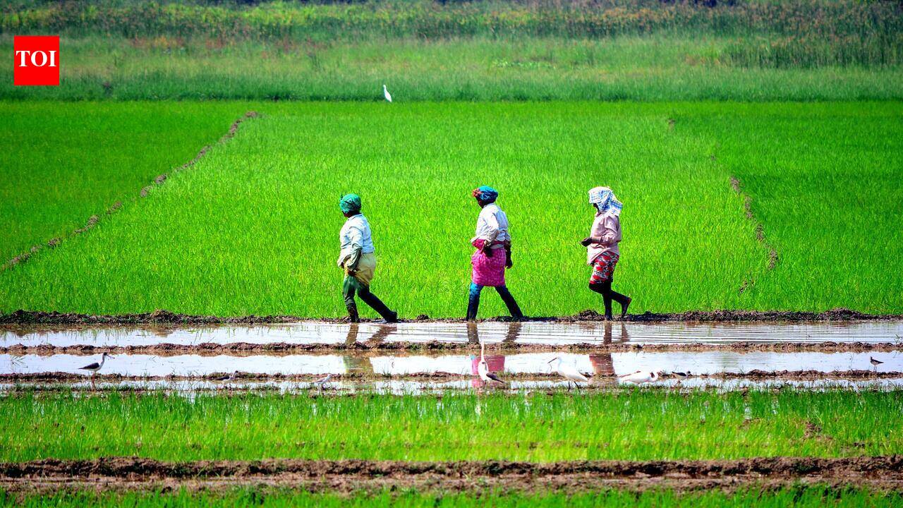 State turns to social media to promote sustainable farming