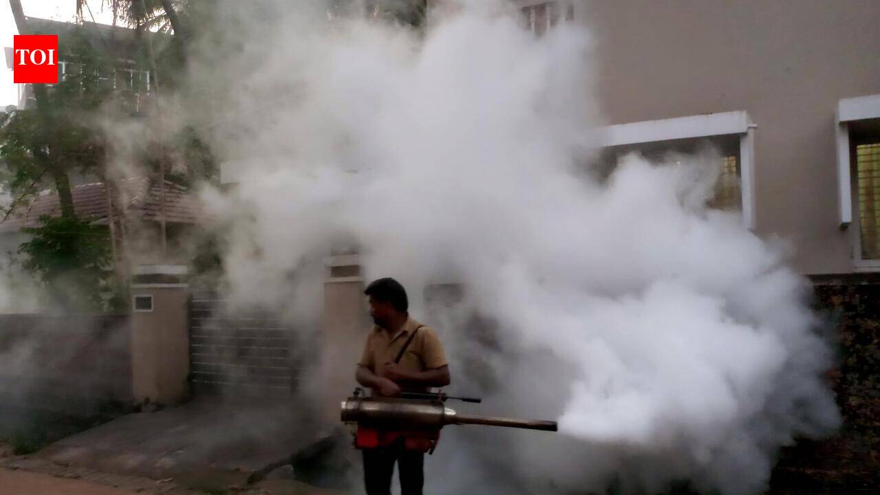 Gurgaon tops Haryana dengue chart as tally rises to 60