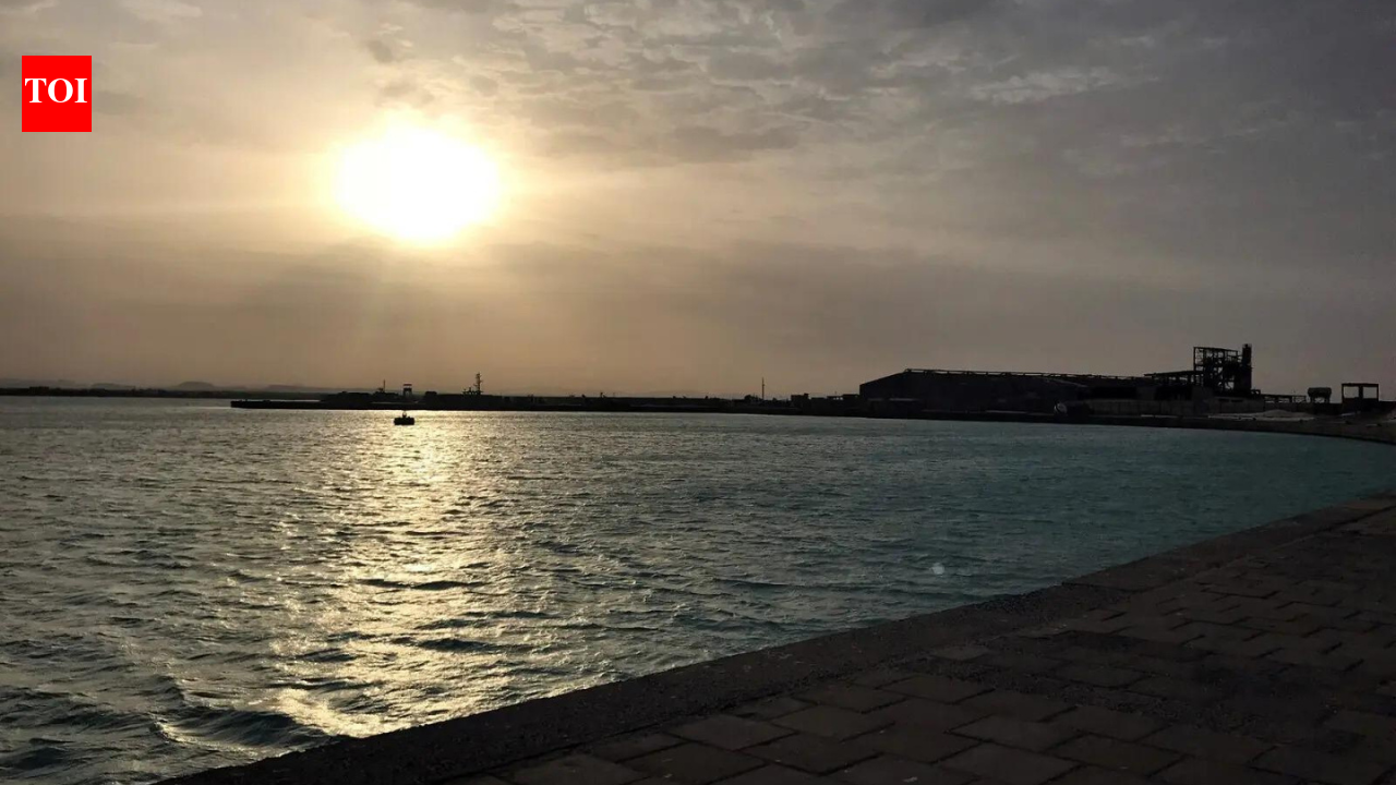 Houthis seize Yemen's strategic Red Sea port city of Mokha from Saudi-backed forces