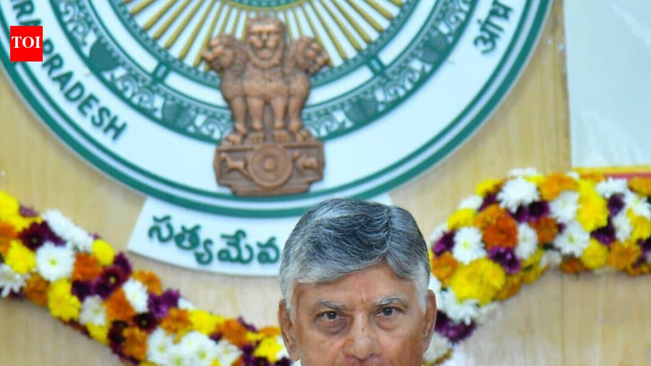 Andhra Pradesh CM Chandrababu Naidu asks collectors to shift from reviews to results, embrace leadership-driven governance
