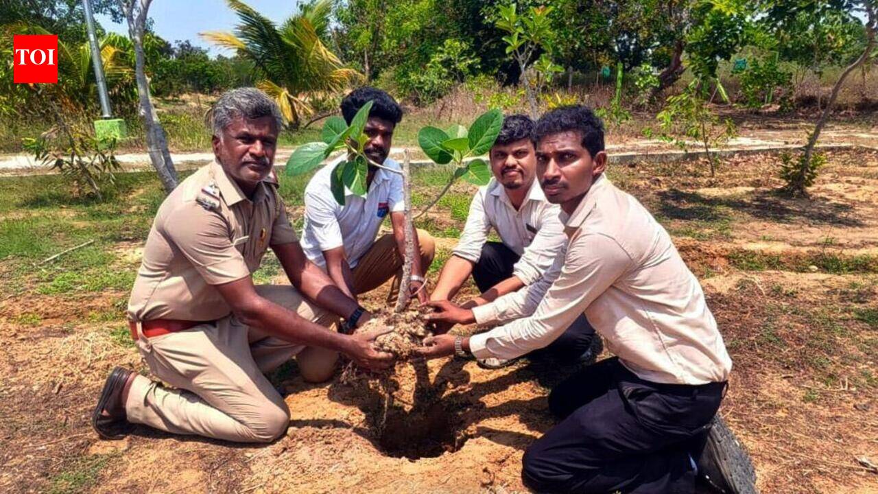 Cop turns drinking den into park, plants trees