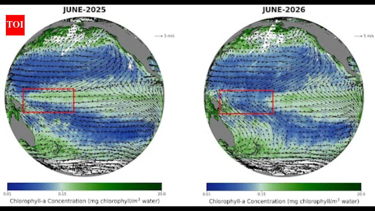 Isro satellites spot drop in Pacific marine life as El Niño develops