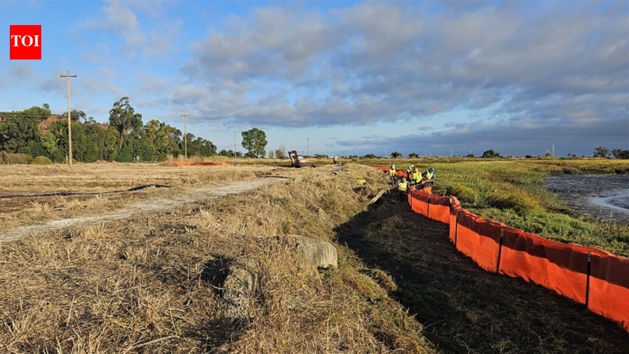Palo Alto’s 500-foot horizontal levee reuses wastewater to restore marshes and test sea-rise defence