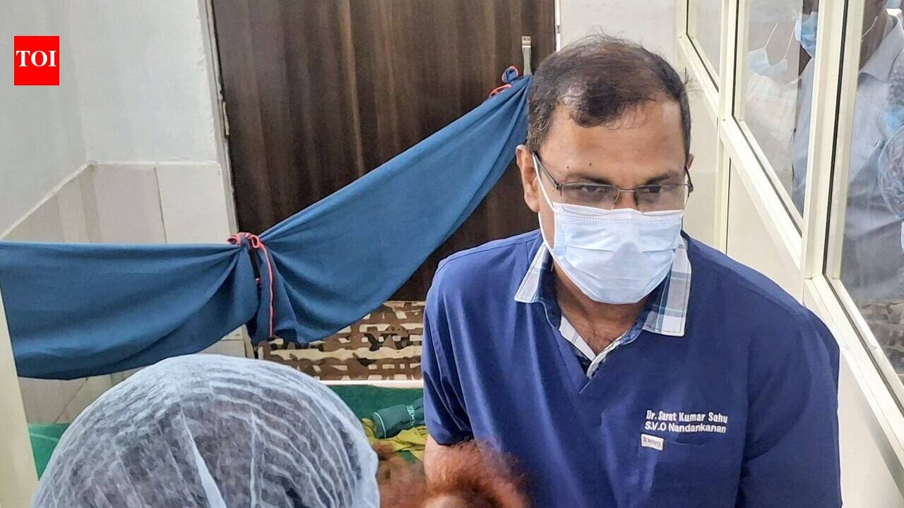 STF tracks key leads in orangutan smuggling probe, black suv under scanner