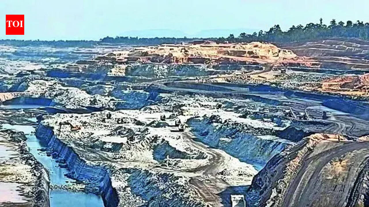 Chhattisgarh sought Tara block’s return to auction in Dec 2025: Centre