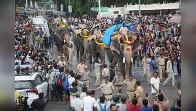 Crowds at Dasara elephant rehearsals pose challenge for police, forest dept