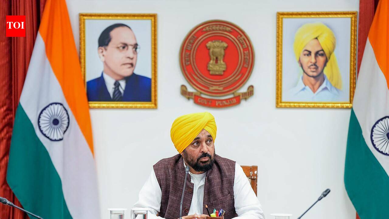 Punjab flags flaws in new Bhakra-Pong rule curves