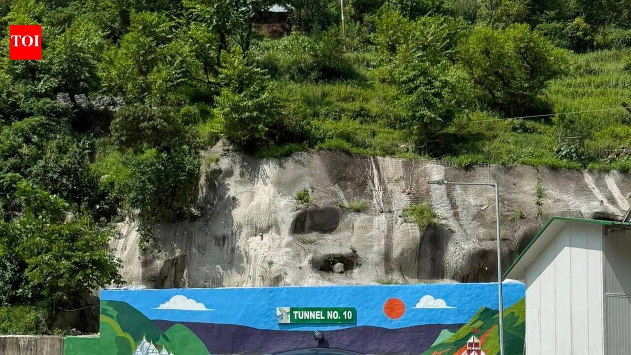 Hanogi tunnel opens to traffic