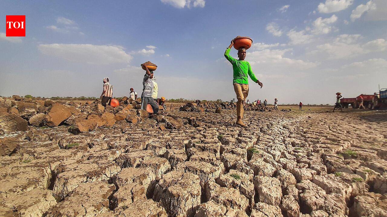IMD records sharper rainfall extremes in latest four-week period of this El Niño year: 218 districts across India show drought-like conditions