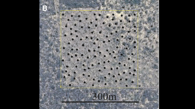 Brazil’s 200 million termite mounds are up to 4,000 years old, but they are made from soil termites dug out while building tunnels