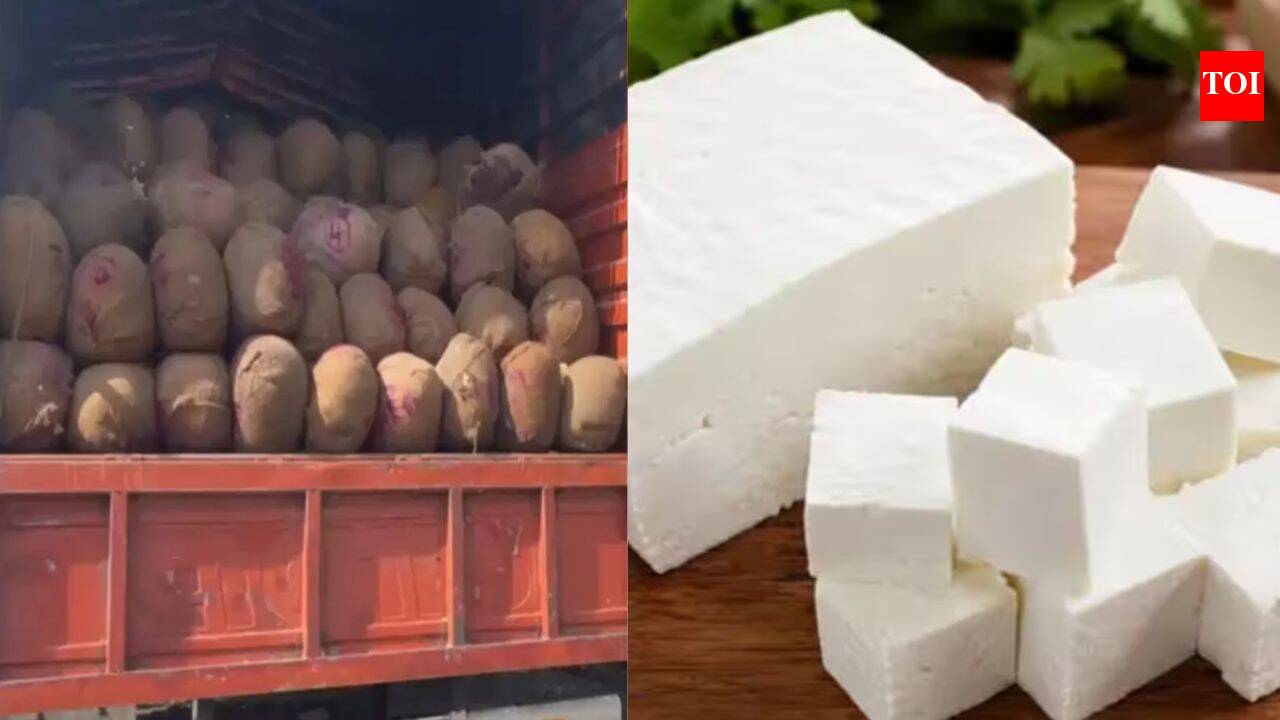 Telangana Prohibits Synthetic and Non-Dairy Paneer for One Year