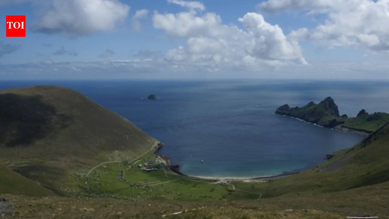 The last residents left St Kilda, and then the mice 'vanished'—a haunting mystery of a ghost island left to nature.
