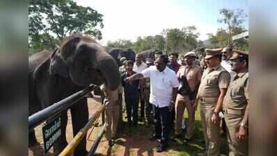 Forest minister inspects AI command centre, elephant camp in the Nilgiris