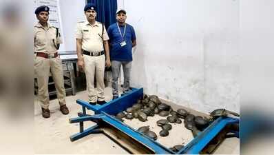 78 turtles seized from unclaimed bags on Doon Express