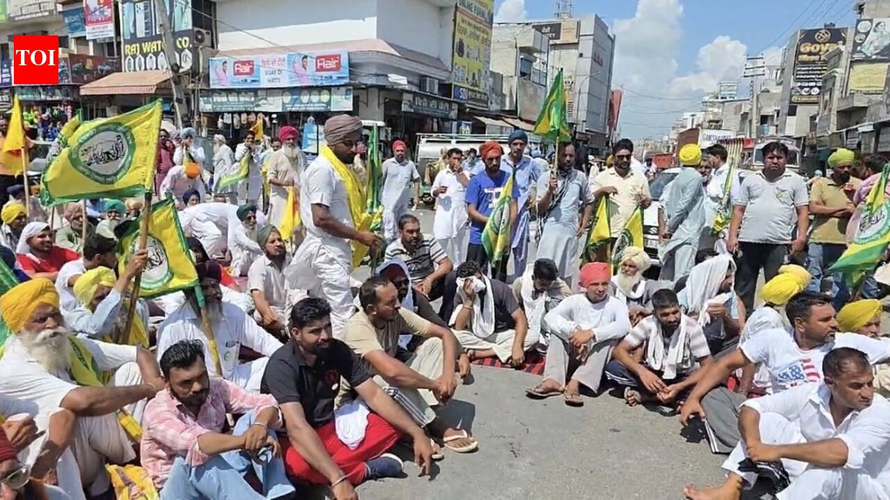 Erratic power supply hits paddy irrigation, farmers take to roads in Mansa, Moga