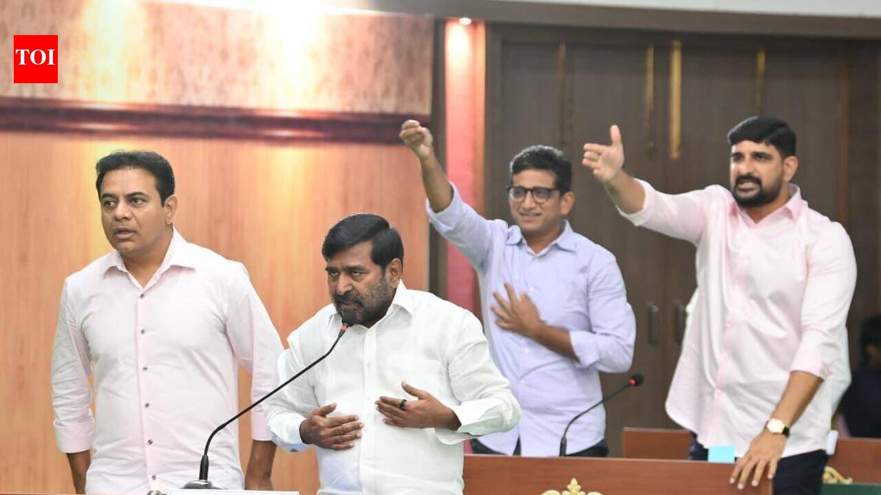 BRS holds ‘mock assembly', raises farmers, power issues