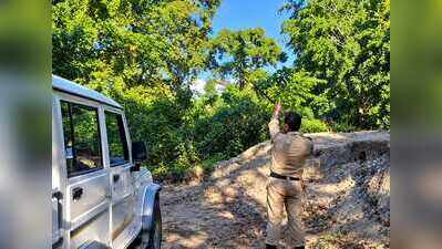 Leopard mauls 12-yr-old boy in Khowang, leaves him critically injured